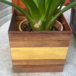 Large Planter Box