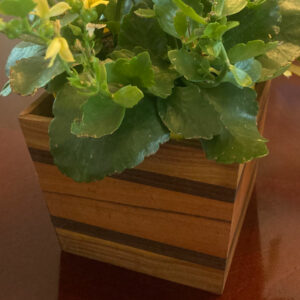 Medium Planter Box