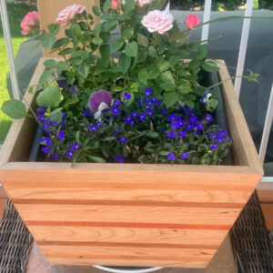 Large Outdoor Planter